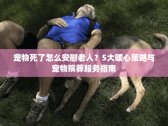 宠物死了怎么安慰老人?5大暖心策略与宠物殡葬服务指南 宠物死了怎么安慰老人?5大暖心策略与宠物殡葬服务指南