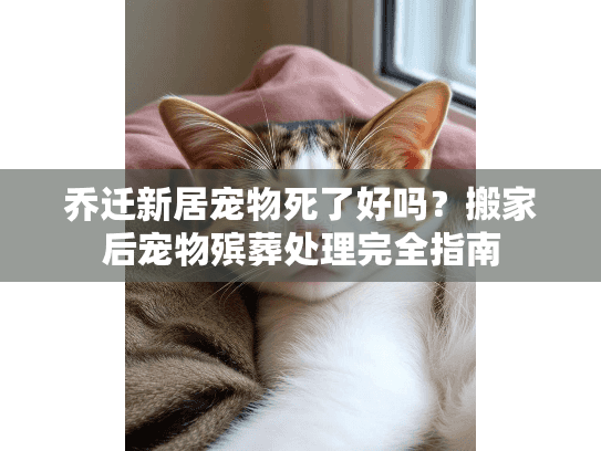 乔迁新居宠物死了好吗？搬家后宠物殡葬处理完全指南