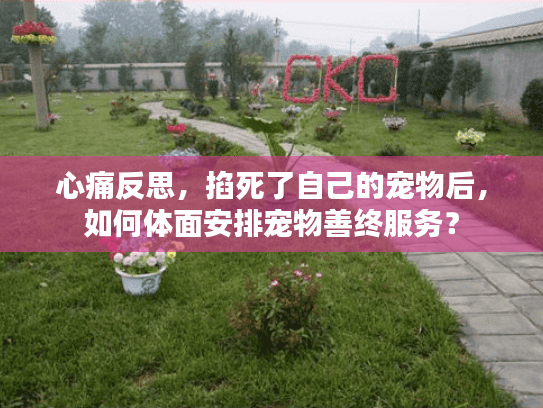 心痛反思，掐死了自己的宠物后，如何体面安排宠物善终服务？
