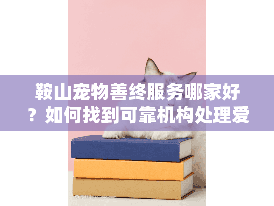 鞍山宠物善终服务哪家好？如何找到可靠机构处理爱宠后事