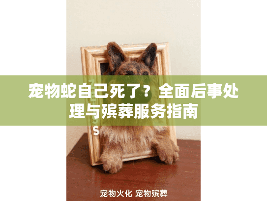 宠物蛇自己死了？全面后事处理与殡葬服务指南