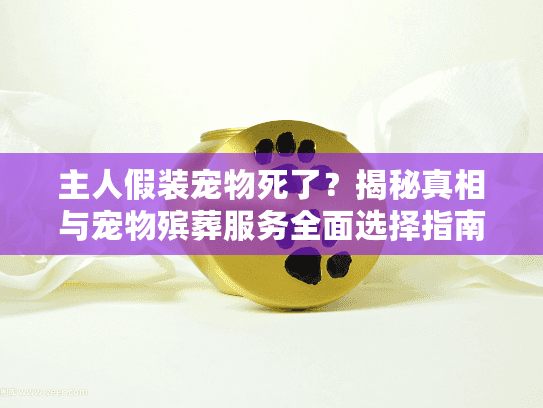 主人假装宠物死了？揭秘真相与宠物殡葬服务全面选择指南