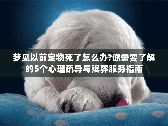 梦见以前宠物死了怎么办?你需要了解的5个心理疏导与殡葬服务指南