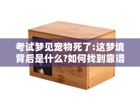 考试梦见宠物死了:这梦境背后是什么?如何找到靠谱宠物殡葬服务