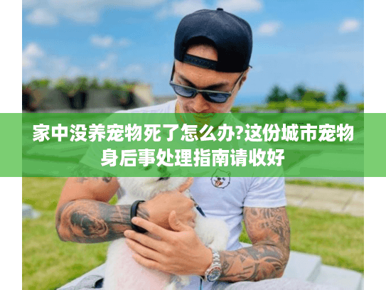 家中没养宠物死了怎么办?这份城市宠物身后事处理指南请收好