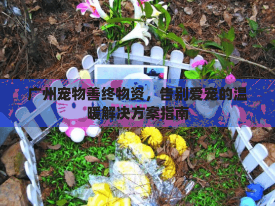 广州宠物善终物资，告别爱宠的温暖解决方案指南