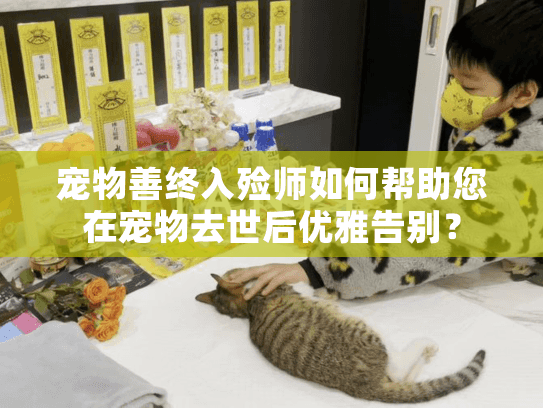 宠物善终入殓师如何帮助您在宠物去世后优雅告别？