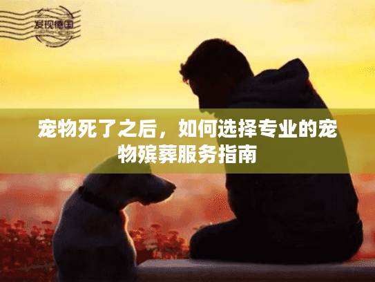 宠物死了之后，如何选择专业的宠物殡葬服务指南
