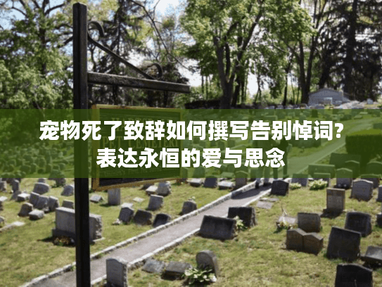 宠物死了致辞如何撰写告别悼词?表达永恒的爱与思念