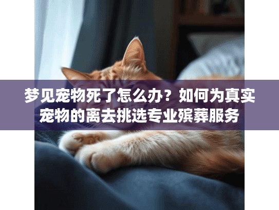 梦见宠物死了怎么办？如何为真实宠物的离去挑选专业殡葬服务