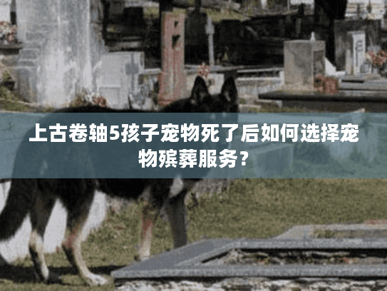 上古卷轴5孩子宠物死了后如何选择宠物殡葬服务？