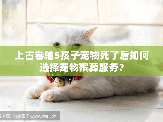 上古卷轴5孩子宠物死了后如何选择宠物殡葬服务？