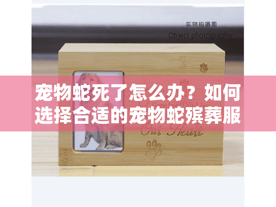 宠物蛇死了怎么办？如何选择合适的宠物蛇殡葬服务？