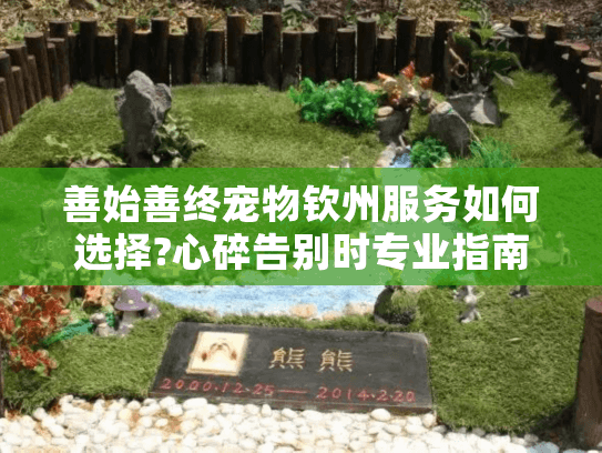 善始善终宠物钦州服务如何选择?心碎告别时专业指南助您释怀