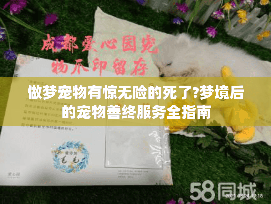 做梦宠物有惊无险的死了?梦境后的宠物善终服务全指南