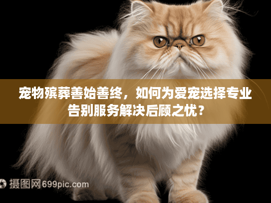 宠物殡葬善始善终，如何为爱宠选择专业告别服务解决后顾之忧？