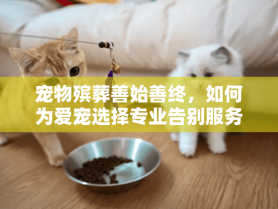 宠物殡葬善始善终，如何为爱宠选择专业告别服务解决后顾之忧？