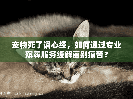 宠物死了诵心经，如何通过专业殡葬服务缓解离别痛苦？