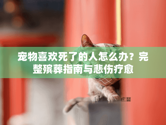 宠物喜欢死了的人怎么办？完整殡葬指南与悲伤疗愈