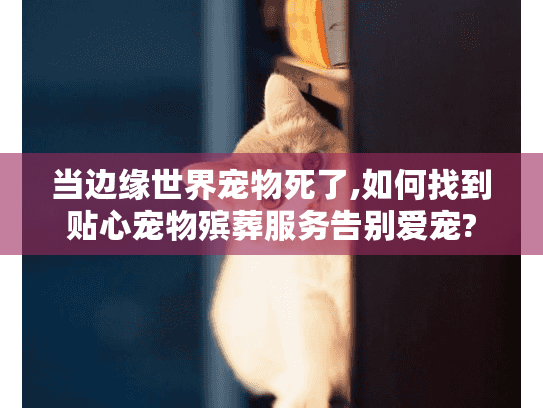 当边缘世界宠物死了,如何找到贴心宠物殡葬服务告别爱宠?